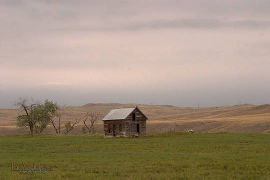 A Shed in a Field