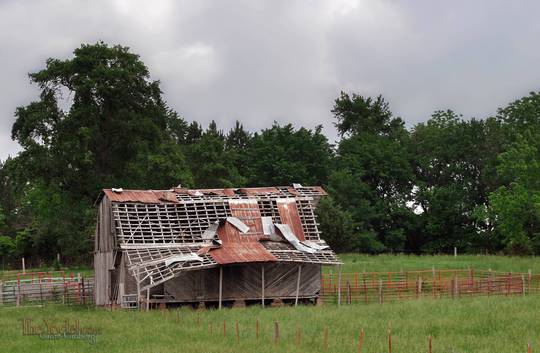 Arkansas Barn